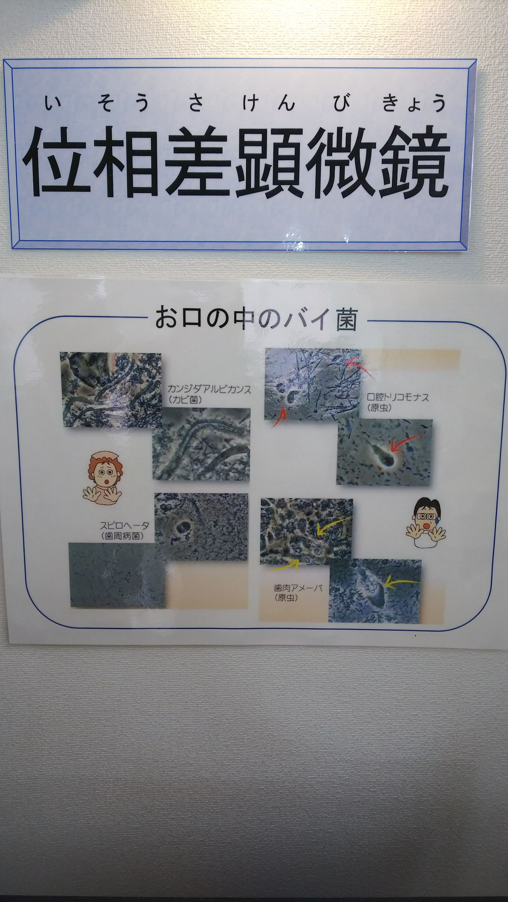 エピオスおススメです!
