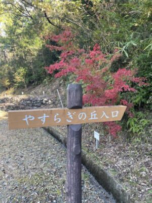 気分スッキリ