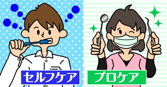 こんなに違う！歯垢と歯石の違い