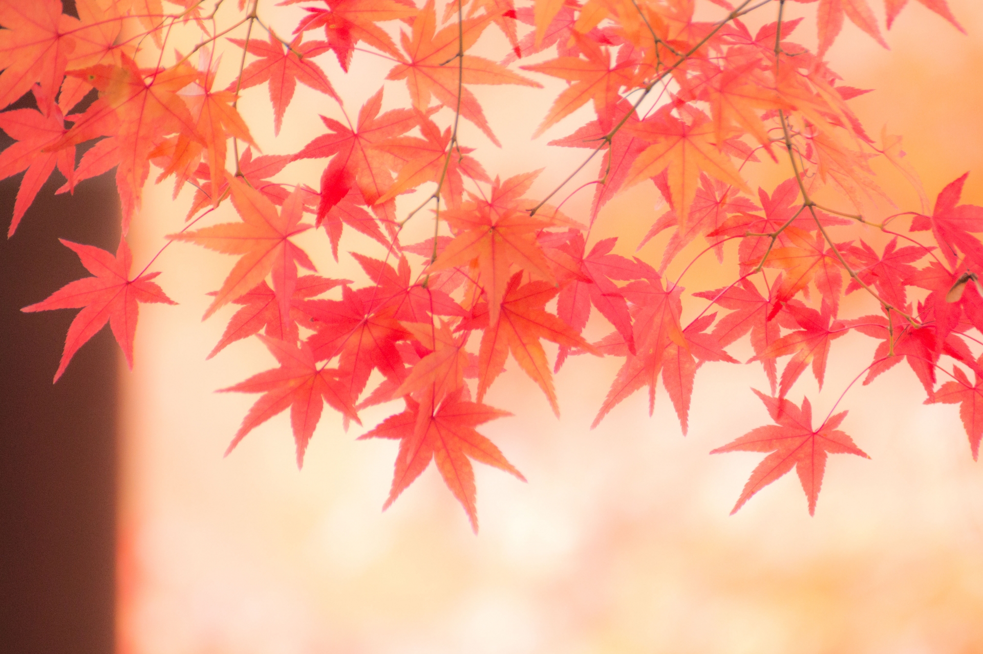森町秋の風物詩