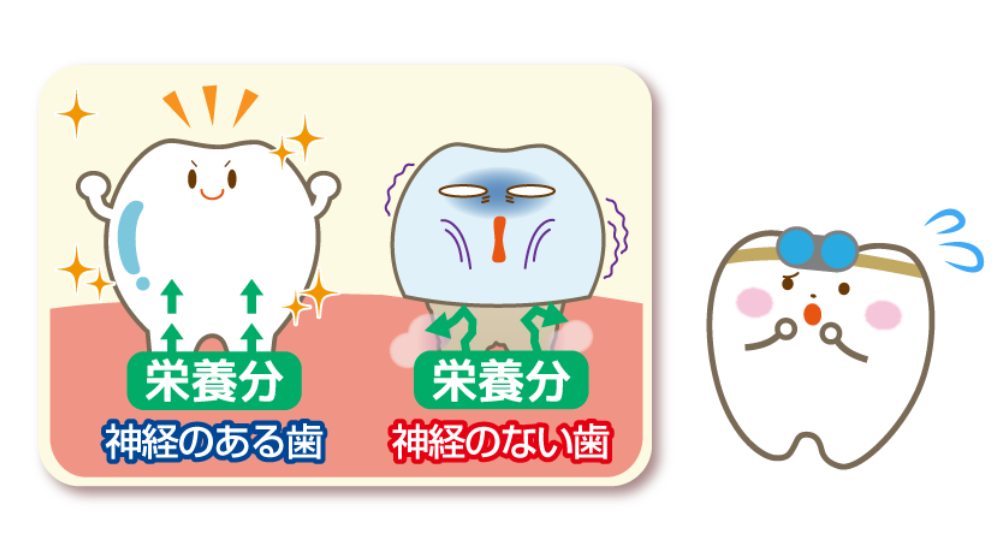 神経の大切な役割　周智郡森町