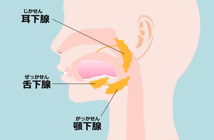 いい唾液の日