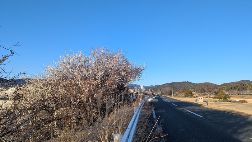 診療スケジュールのご案内