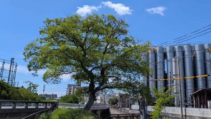 7月の医院からのお知らせ