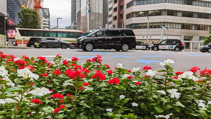 仲町歯科2023年10月 (1)
