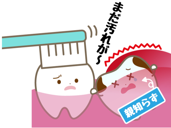 仲町歯科 7月ブログ (3)