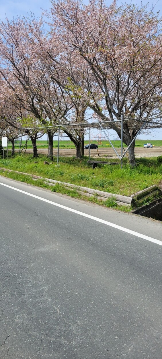 2023年4月ブログ (1)