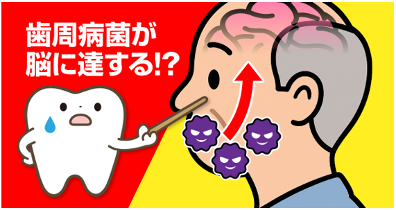 歯を守れば脳も守れる！認知症対策はお口から