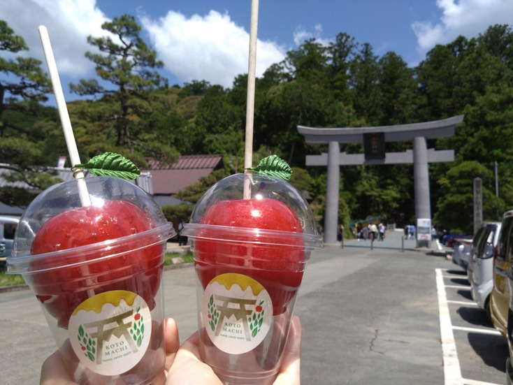 仲町歯科 2023年6月15日ブログ (3)