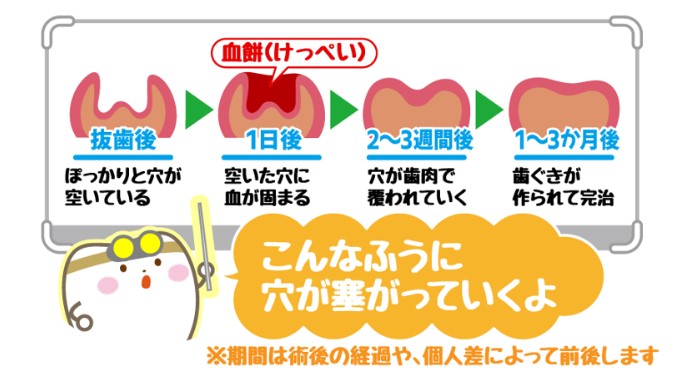 スクリーンショット 2022-09-04 121918