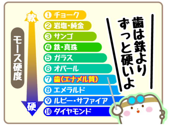 2024年3月28日 仲町歯科ブログ (3)