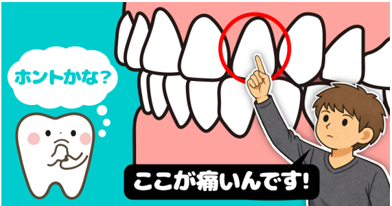 原因はそこじゃない?「歯の痛み」の意外な落とし穴