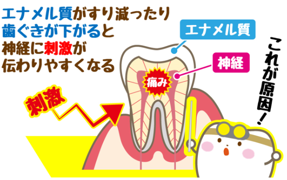 仲町歯科 7月ブログ (2)