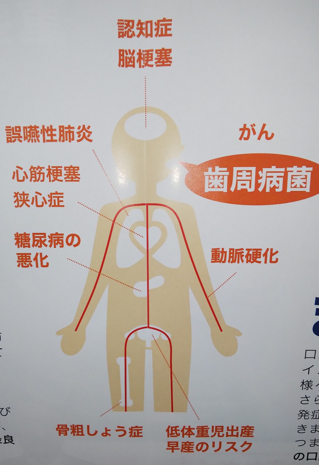 口腔ケアと医院内新聞 周智郡森町