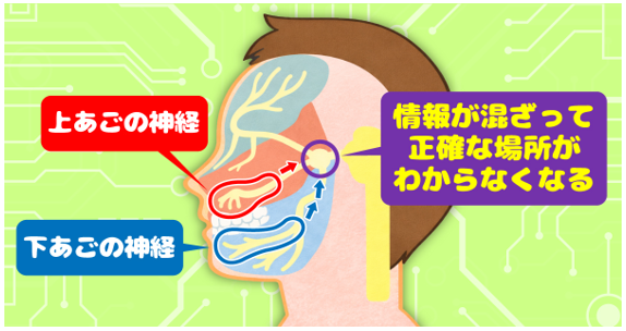 原因はそこじゃない?「歯の痛み」の意外な落とし穴