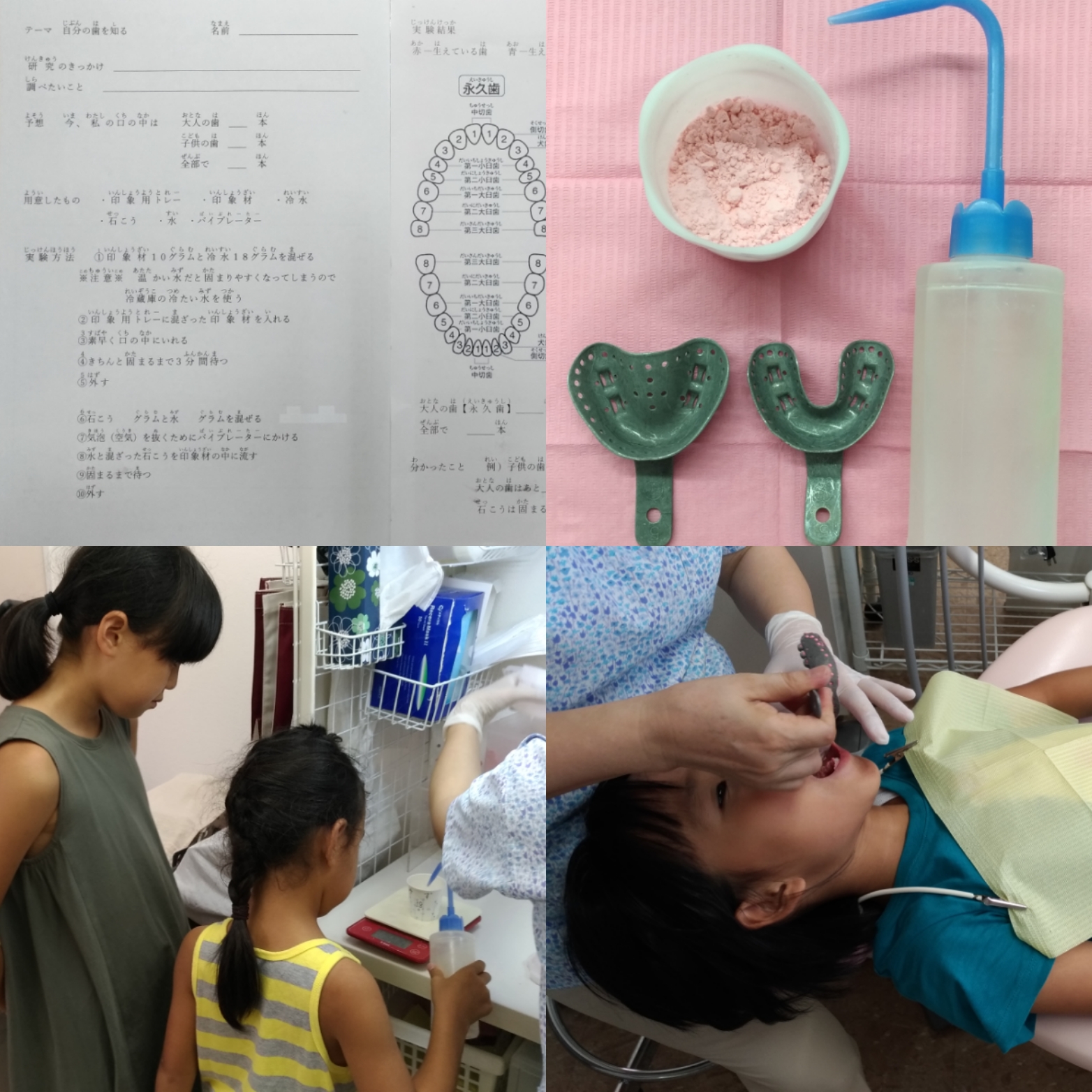 夏休み自由研究