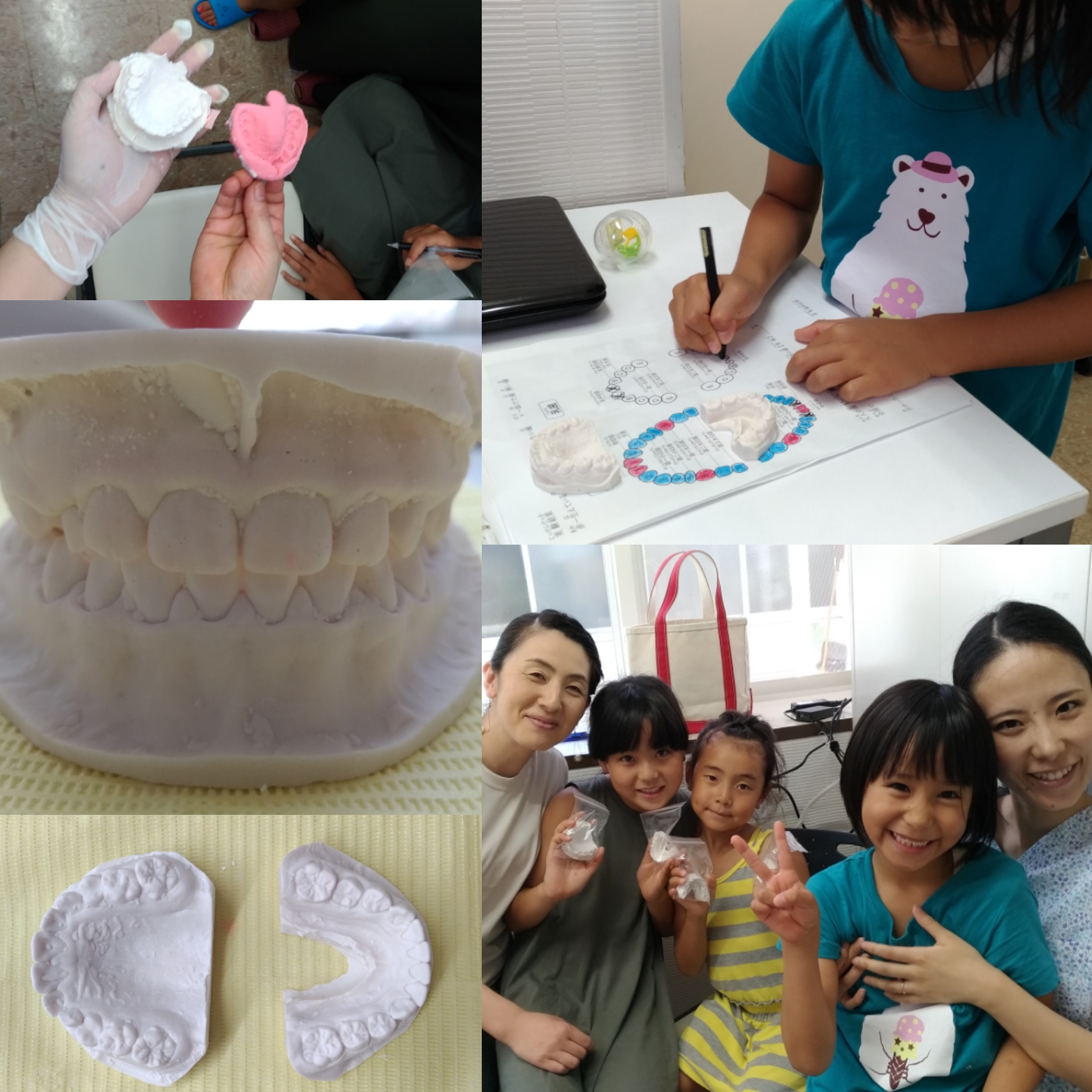 夏休み自由研究