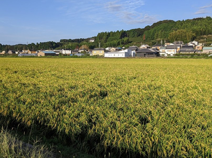 10月の医院からのお知らせ　周智郡森町