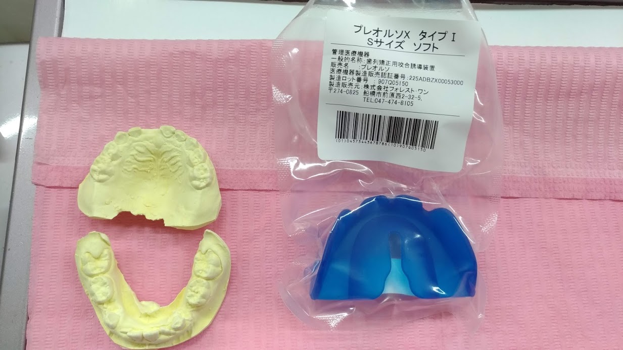 今週のプレオルソお友だち～190615～