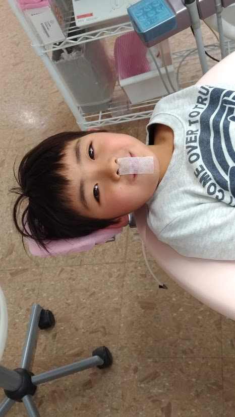 今週のプレオルソお友だち~190126~