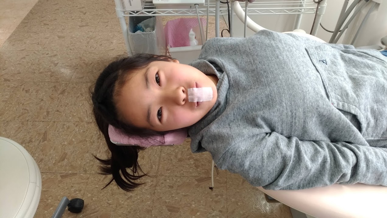 今週のプレオルソお友だち~190126~