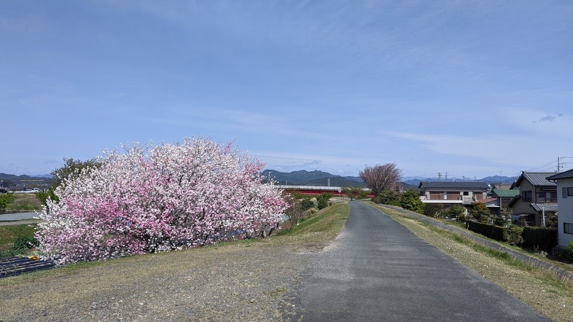 診療スケジュールのご案内