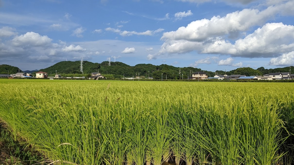 はじめまして！　周智郡森町
