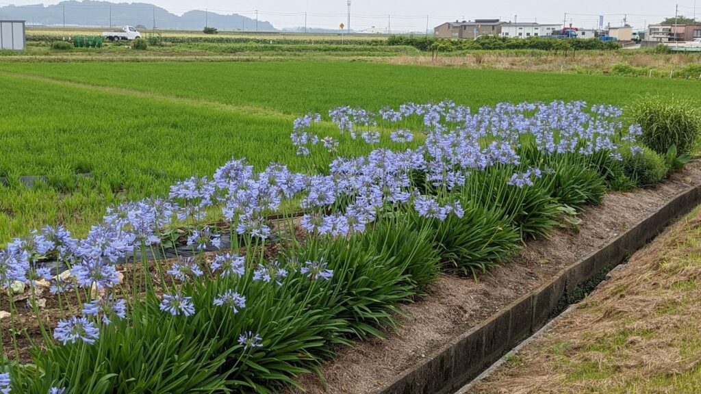 診療スケジュールのご案内