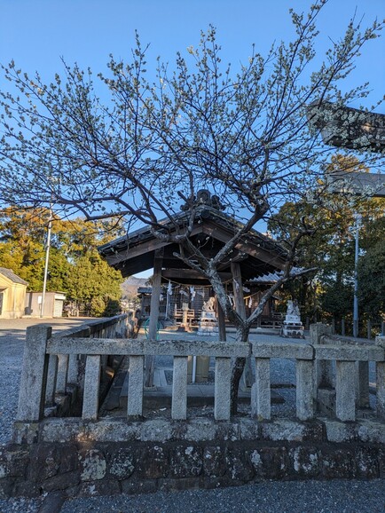 仲町歯科2024年2月ブログ