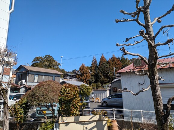 仲町歯科2024年2月ブログ