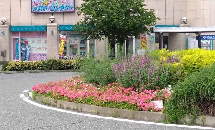 診療スケジュールのご案内