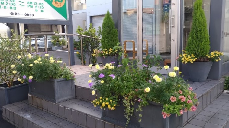 振替診療いたします