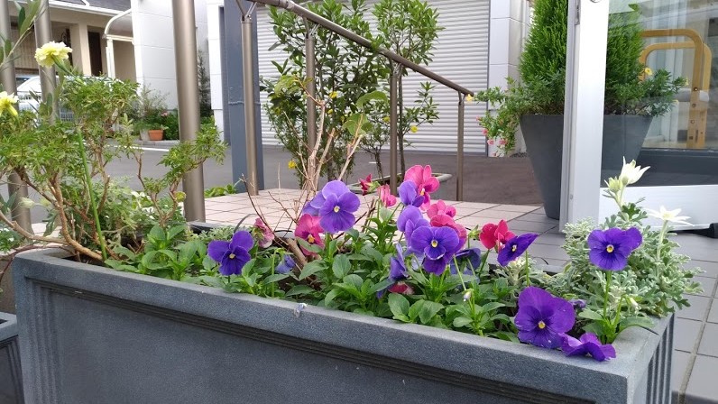 11月の医院からのお知らせ