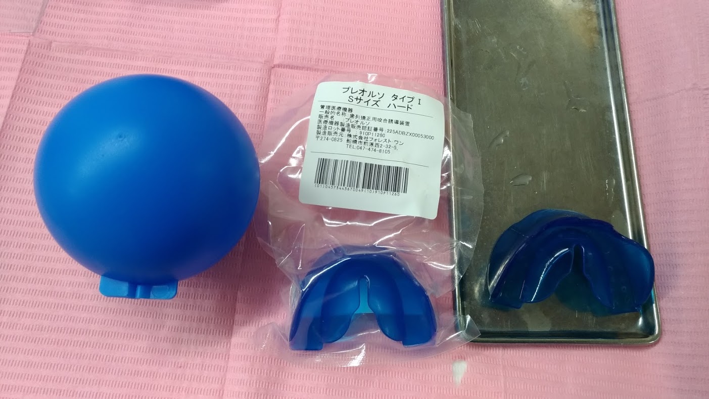 今週のプレオルソお友だち~190216~
