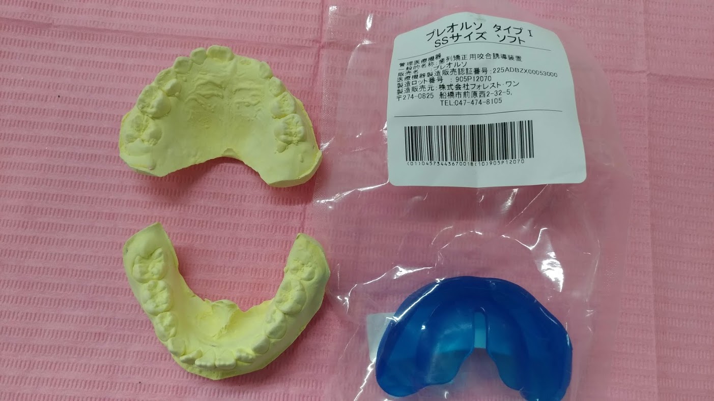 今週のプレオルソお友だち~190216~