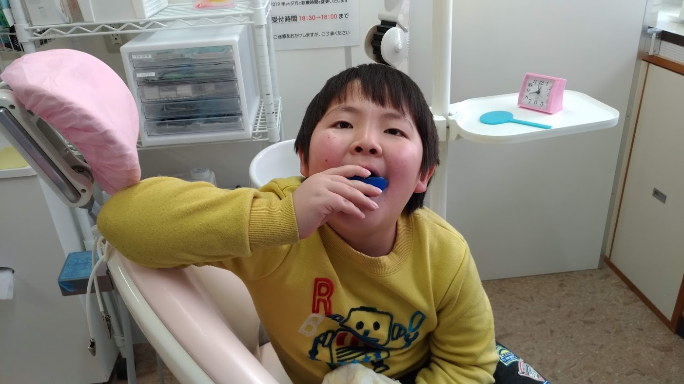 今週のプレオルソお友だち~190216~