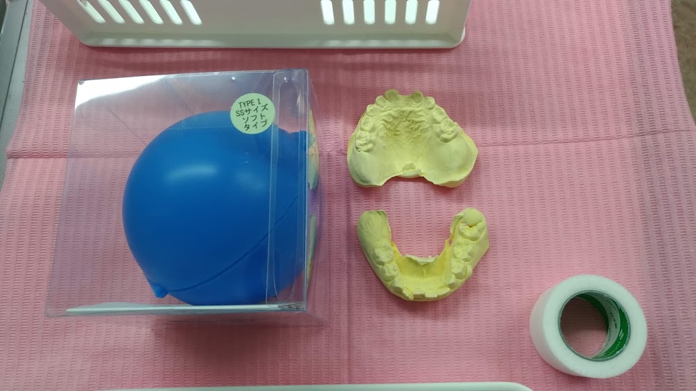 今週のプレオルソお友だち～181229～