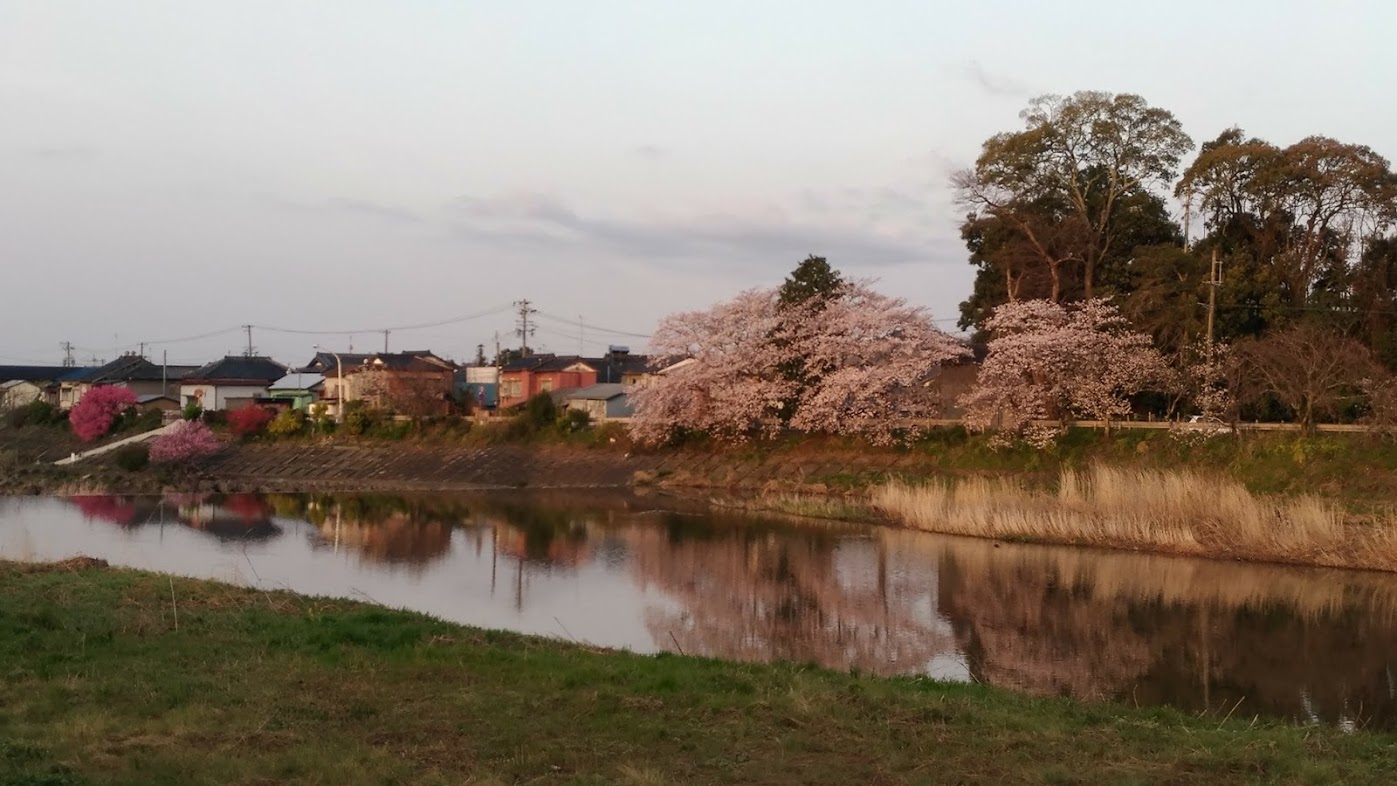 5月25日(金)院内勉強会のため、午後の診療は15:00～となります。