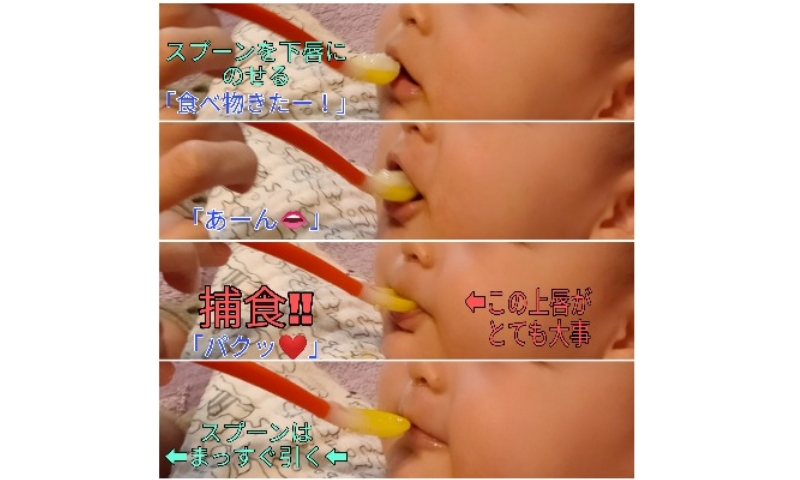 離乳食の食べさせ方