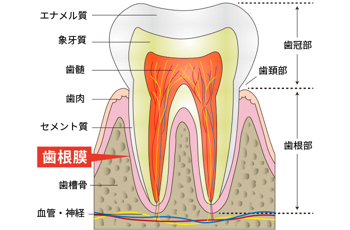 食感をいつまでも楽しむために