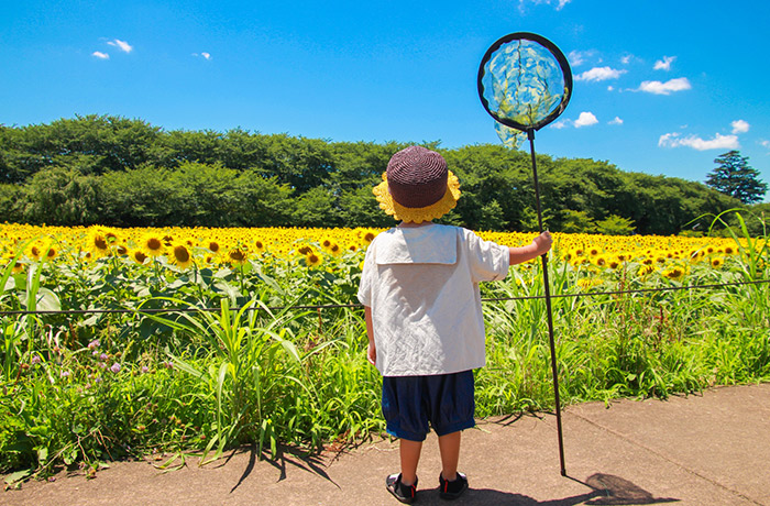 災害時の口腔ケア