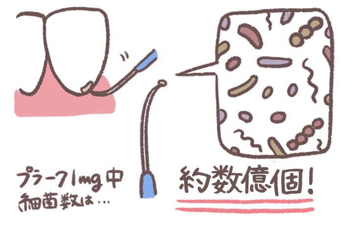 お口のケアで健康を守る