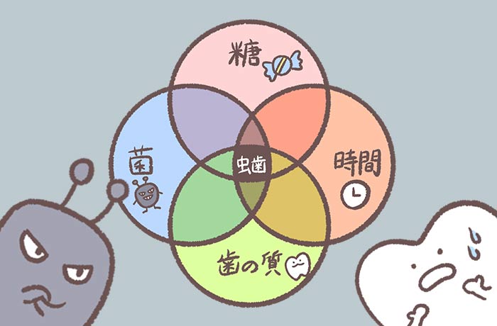 むし歯や歯周病のリスクが増加