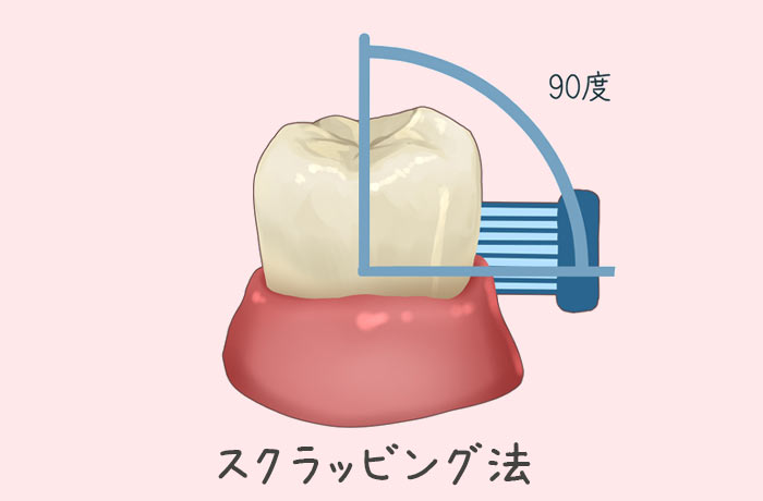 【代表的な歯磨きの方法】