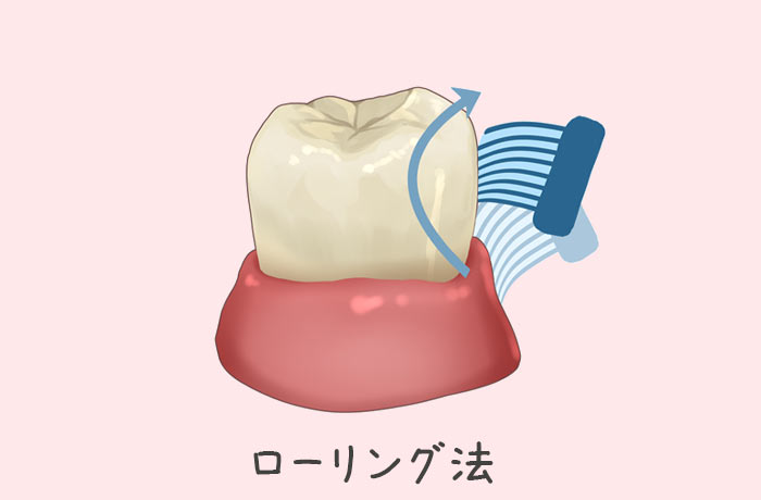【代表的な歯磨きの方法】