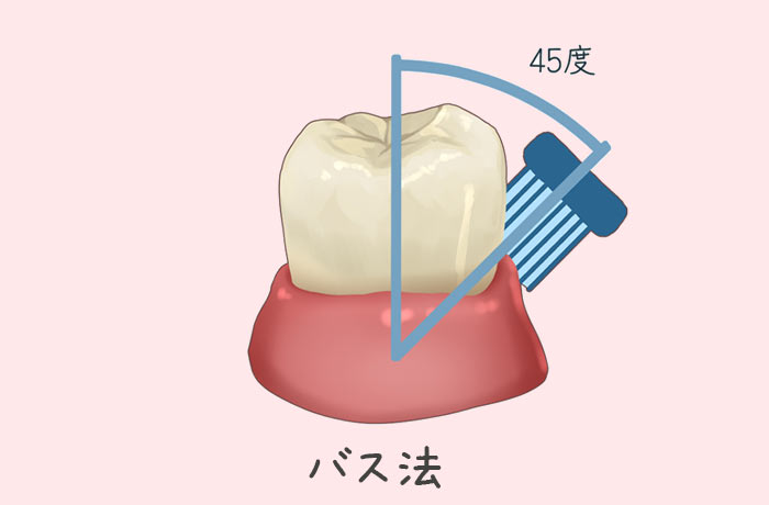 【代表的な歯磨きの方法】
