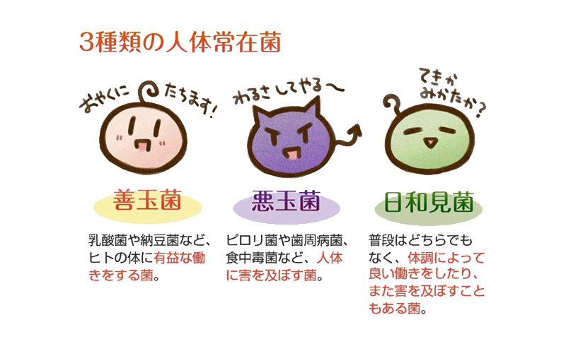 なぜ3ヵ月毎のPMTCがおすすめなのか？　周智郡森町