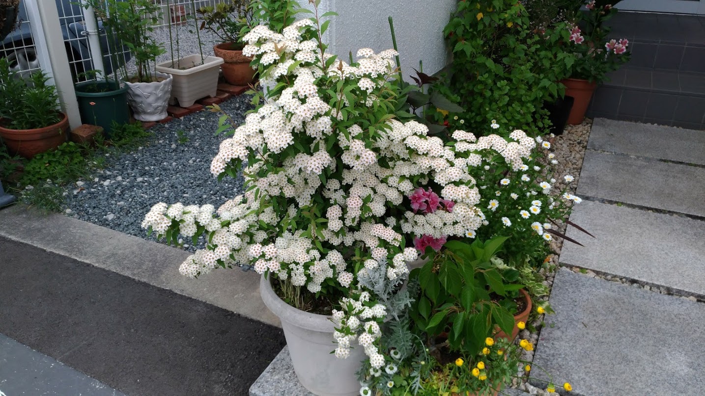 4月・5月の診療スケジュール