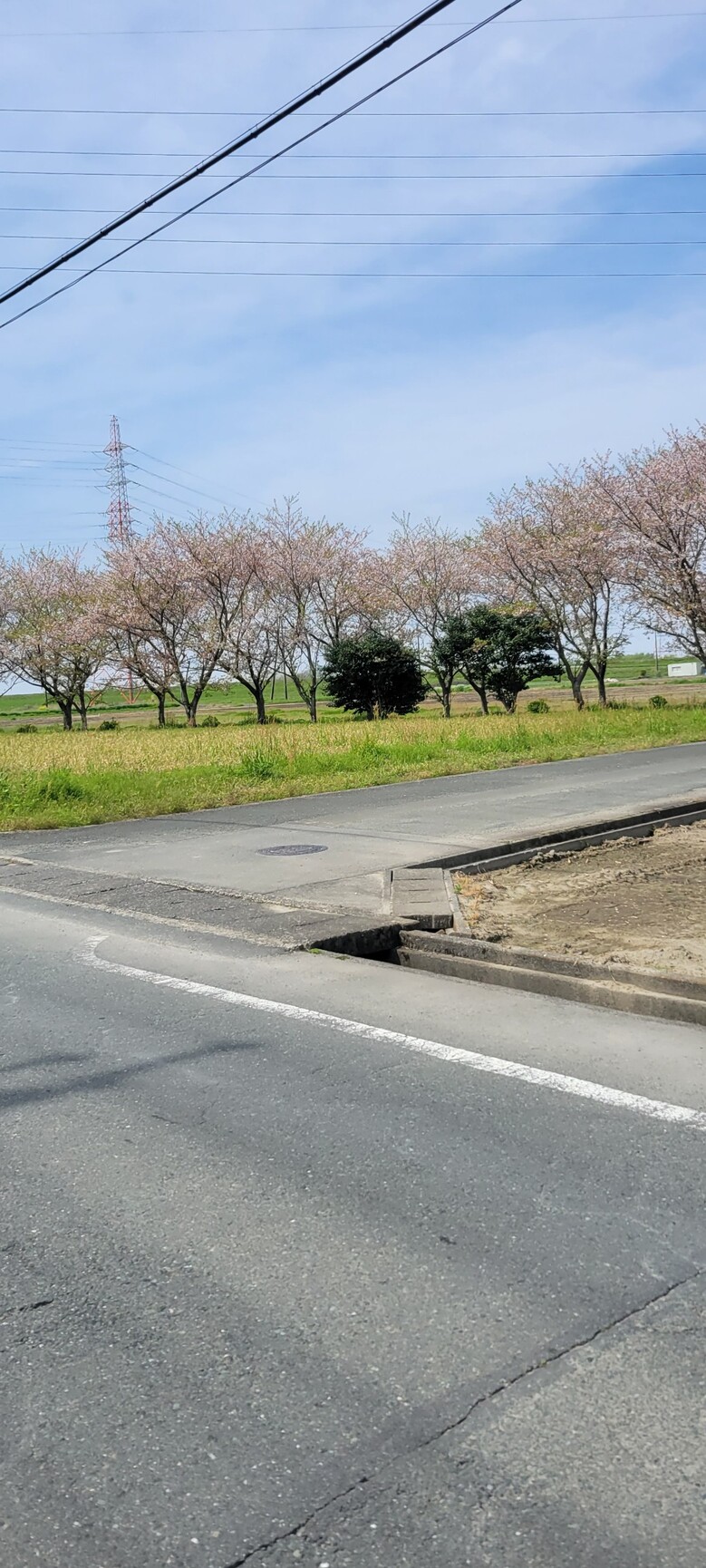 2023年4月ブログ (3)
