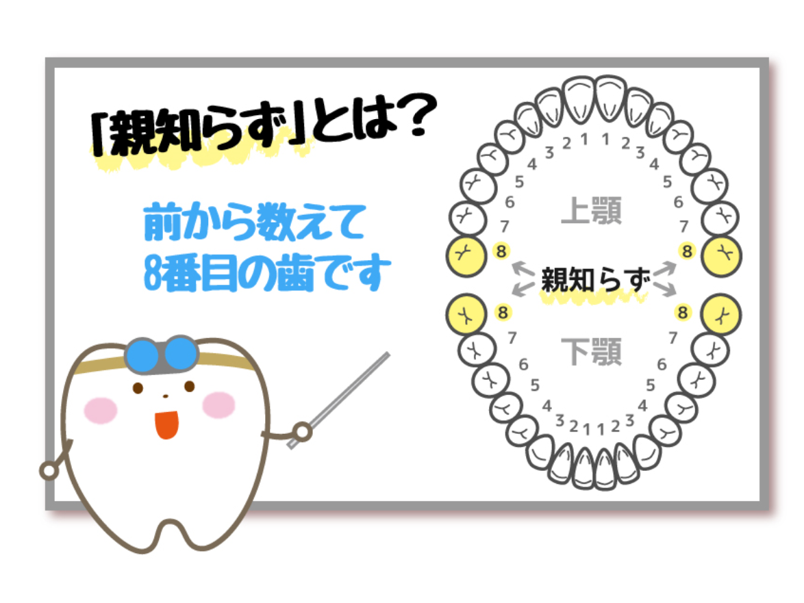 親知らずの基礎知識　周智郡森町